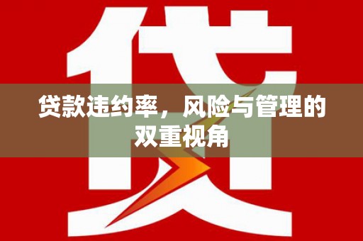 岳麓贷款违约率，风险与管理的双重视角