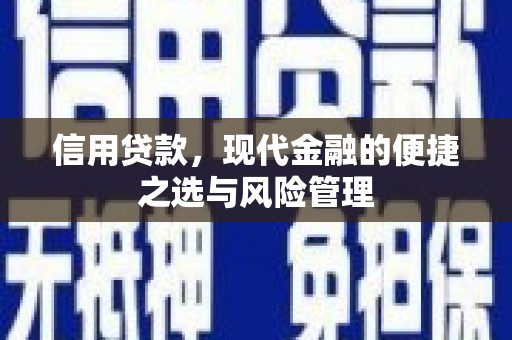 长岭信用贷款，现代金融的便捷之选与风险管理