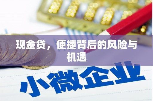 台西现金贷，便捷背后的风险与机遇