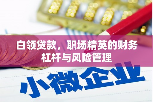 温宿白领贷款，职场精英的财务杠杆与风险管理