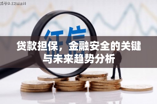 硚口贷款担保，金融安全的关键与未来趋势分析