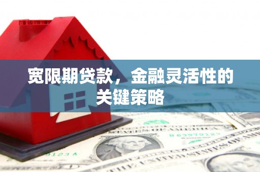 东明宽限期贷款，金融灵活性的关键策略