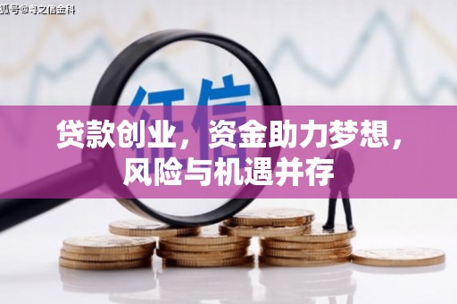 九龙城贷款创业，资金助力梦想，风险与机遇并存