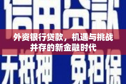 禄丰外资银行贷款，机遇与挑战并存的新金融时代