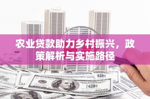 浔阳农业贷款助力乡村振兴，政策解析与实施路径
