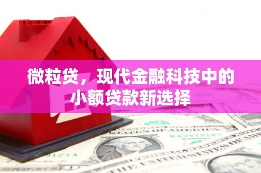 巴青微粒贷，现代金融科技中的小额贷款新选择
