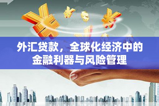 高要外汇贷款，全球化经济中的金融利器与风险管理