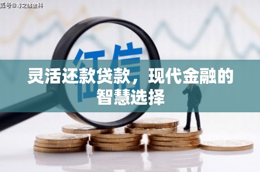 驻马店灵活还款贷款，现代金融的智慧选择
