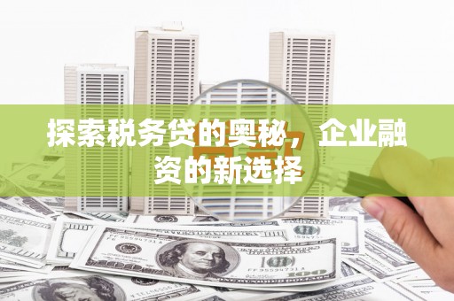 深坑探索税务贷的奥秘，企业融资的新选择