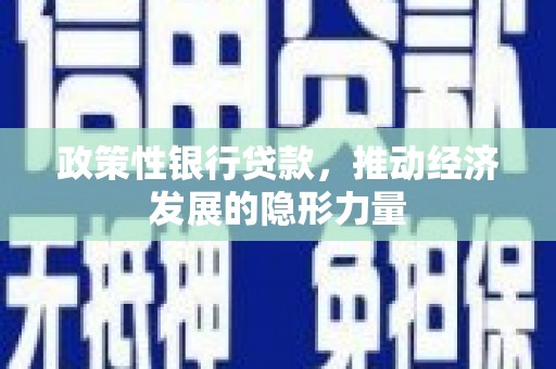 大名政策性银行贷款，推动经济发展的隐形力量