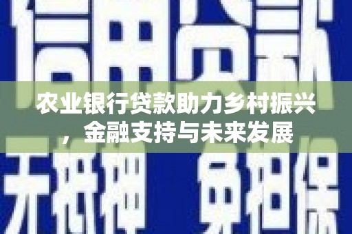 绥滨农业银行贷款助力乡村振兴，金融支持与未来发展