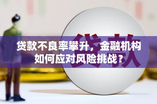 振兴贷款不良率攀升，金融机构如何应对风险挑战？