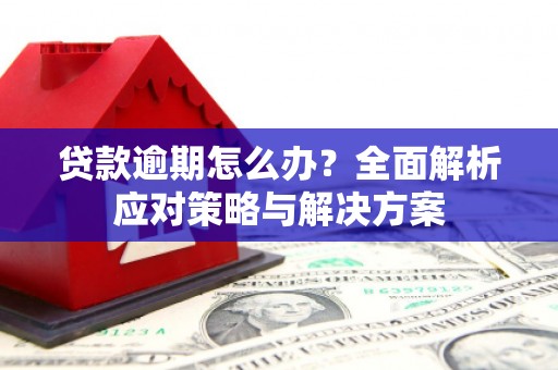 罗东贷款逾期怎么办？全面解析应对策略与解决方案