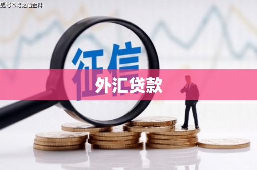 三地门外汇贷款