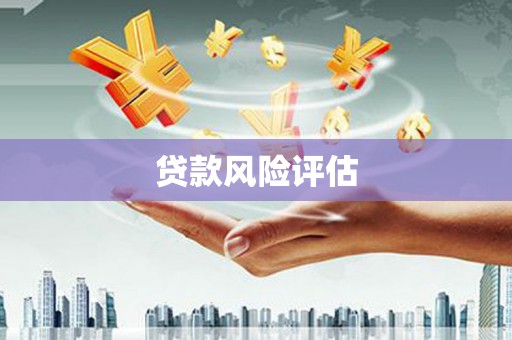 土库贷款风险评估