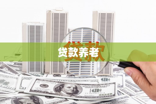 宜宾贷款养老