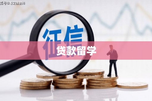 西昌贷款留学