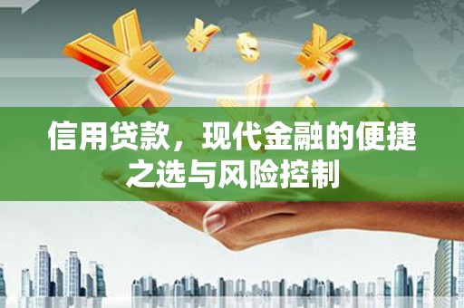 浦江信用贷款，现代金融的便捷之选与风险控制