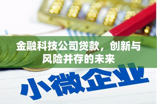 天宁金融科技公司贷款，创新与风险并存的未来