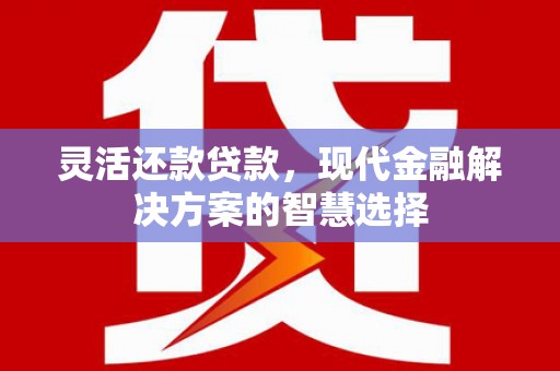 南岳灵活还款贷款，现代金融解决方案的智慧选择