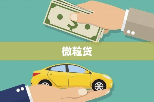 云霄微粒贷