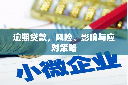 漳县逾期贷款，风险、影响与应对策略