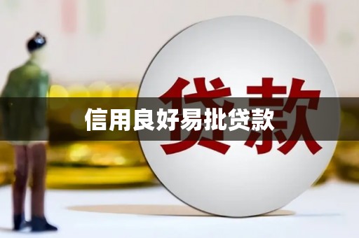 湖里信用良好易批贷款