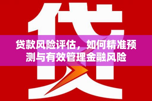 汇川贷款风险评估，如何精准预测与有效管理金融风险