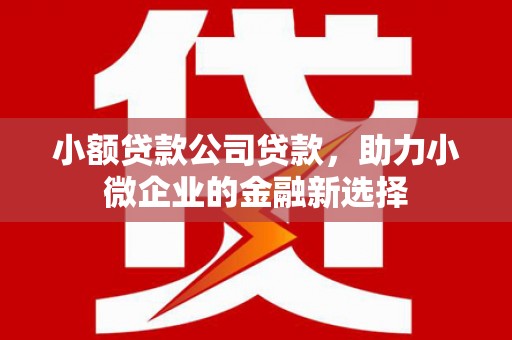 靖州小额贷款公司贷款，助力小微企业的金融新选择
