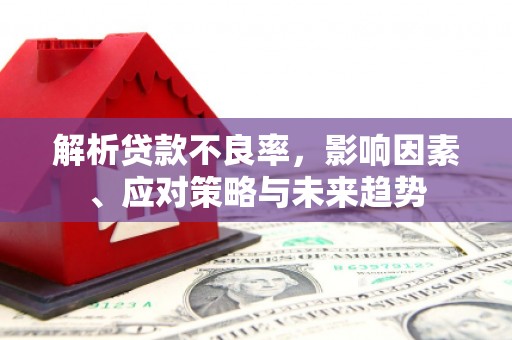 沁源解析贷款不良率，影响因素、应对策略与未来趋势