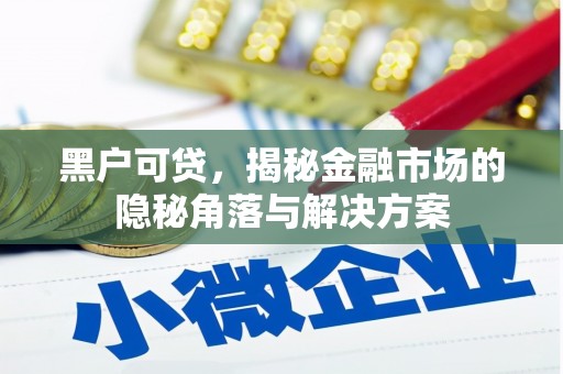 凤阳黑户可贷，揭秘金融市场的隐秘角落与解决方案