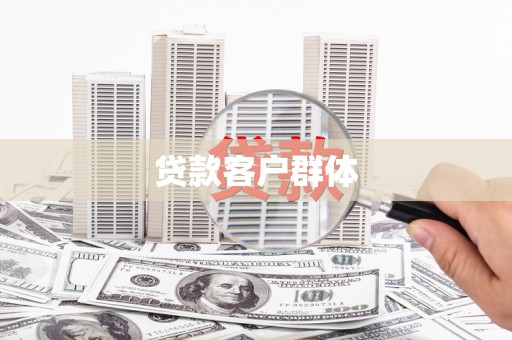 扶绥贷款客户群体