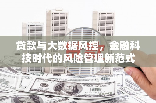 沈丘贷款与大数据风控，金融科技时代的风险管理新范式