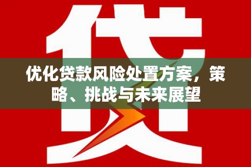 镜湖优化贷款风险处置方案，策略、挑战与未来展望