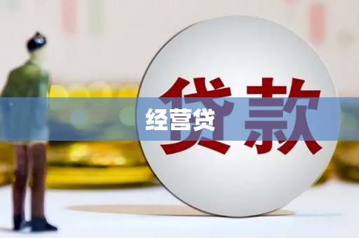 巴马经营贷