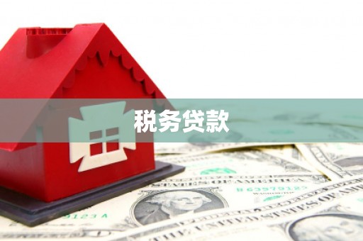 宜良税务贷款