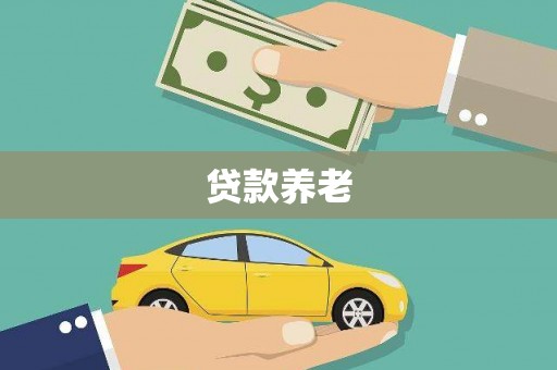 嵩县贷款养老