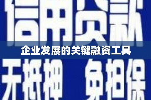 蒲江企业发展的关键融资工具