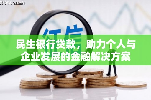新蔡民生银行贷款，助力个人与企业发展的金融解决方案