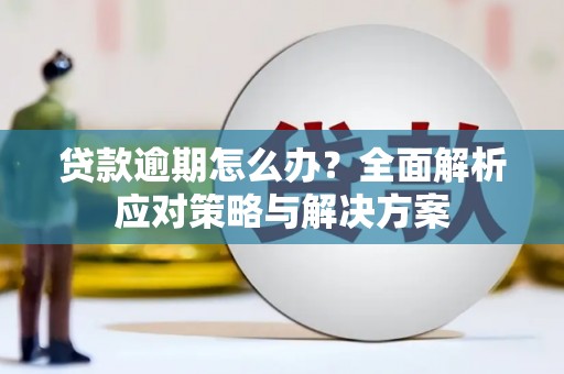 大邑贷款逾期怎么办？全面解析应对策略与解决方案