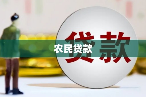 南开农民贷款