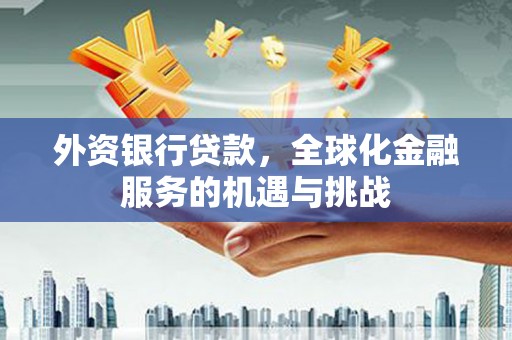 岐山外资银行贷款，全球化金融服务的机遇与挑战