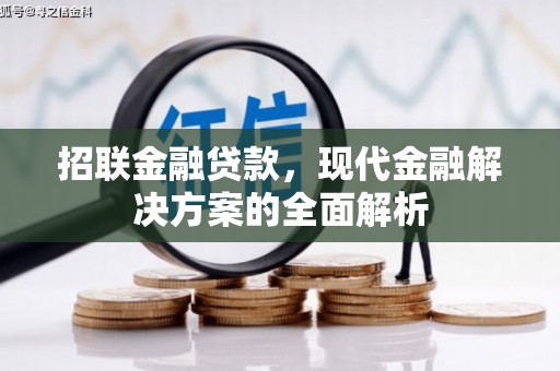 水上招联金融贷款，现代金融解决方案的全面解析