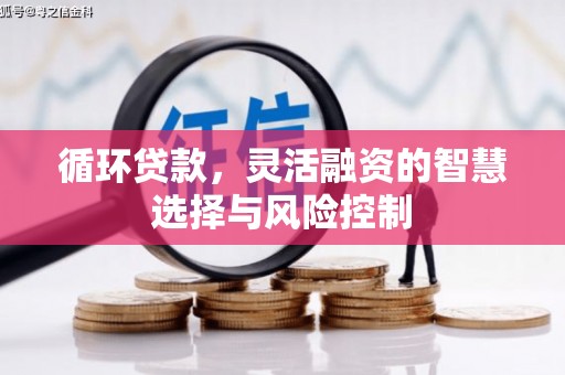 唐县循环贷款，灵活融资的智慧选择与风险控制