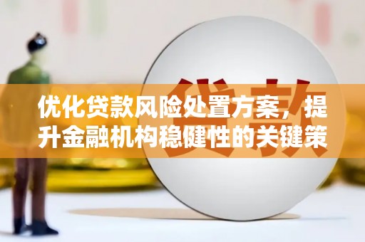 清镇优化贷款风险处置方案，提升金融机构稳健性的关键策略