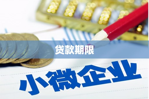 三星贷款期限