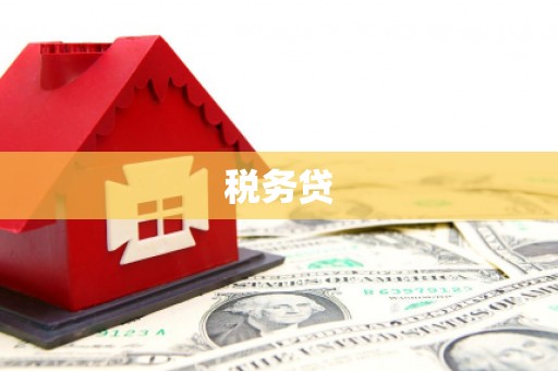 张掖税务贷