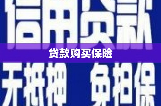 谯城贷款购买保险