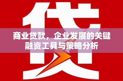 葫芦岛商业贷款，企业发展的关键融资工具与策略分析