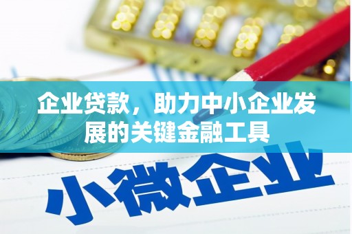 芦山企业贷款，助力中小企业发展的关键金融工具